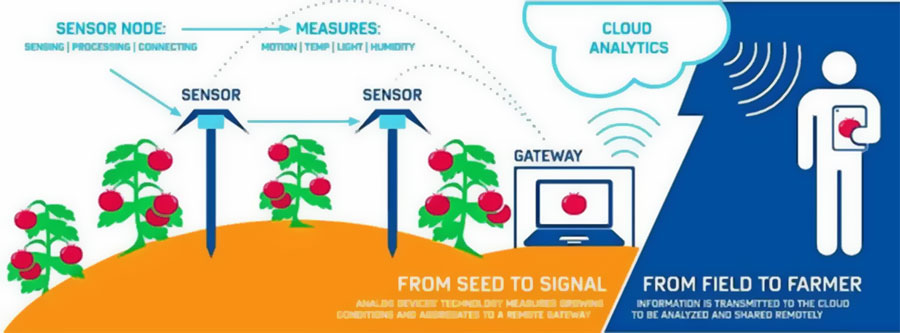 iot-agri.jpg