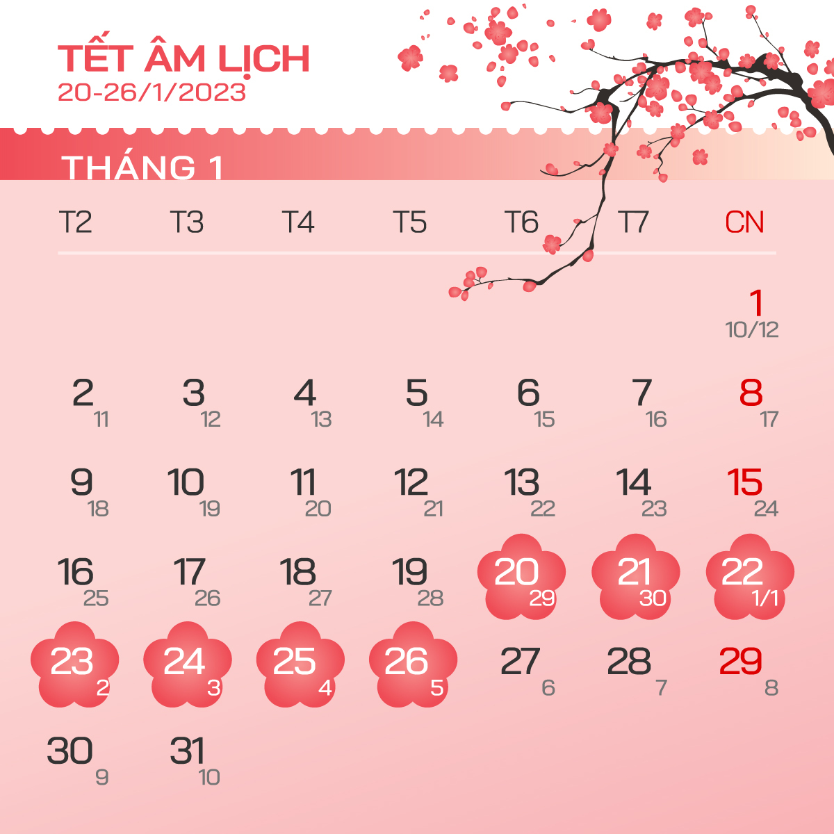 TheGioiMayChu-Blog-Image-.png