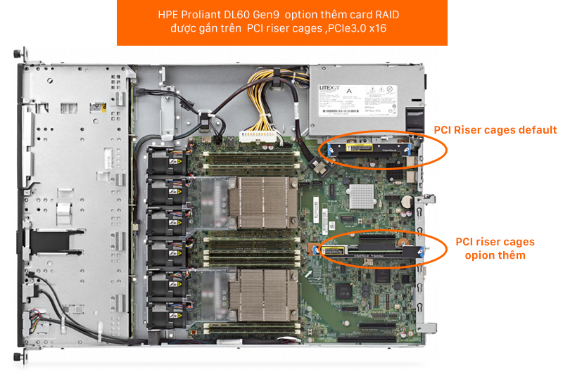 Card_RAID_DL60_gen9_2.jpg
